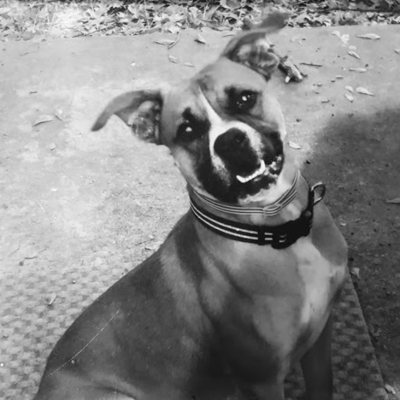 Meet your Posher, Julie - Picture 1 of 1